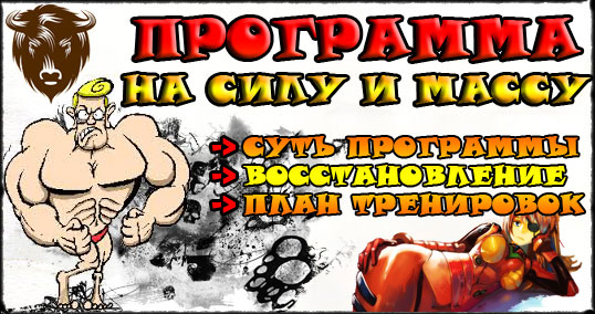 ПРОГРАММА НА СИЛУ И МАССУ