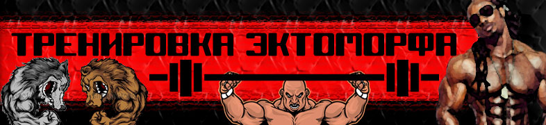 Тренировка эктоморфа