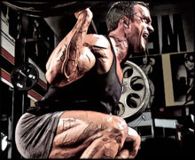 КАК РАСТУТ МЫШЦЫ