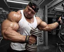 Гипертрофия мышечных волокон