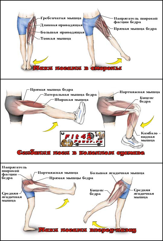 Что делать если болят ляжки. Растяжка мышц стопы упражнения. Отводящие мышцы бедра упражнения. Растяжение коленных мышц.
