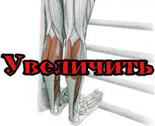 Динамические упражнения для нижней части ног